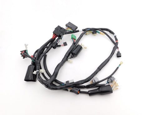 HONDA WIRING WIRE HARNESS 2006 - 2024 RUCKUS NPS50 GENUINE OEM NEW 32100-GEZ-610